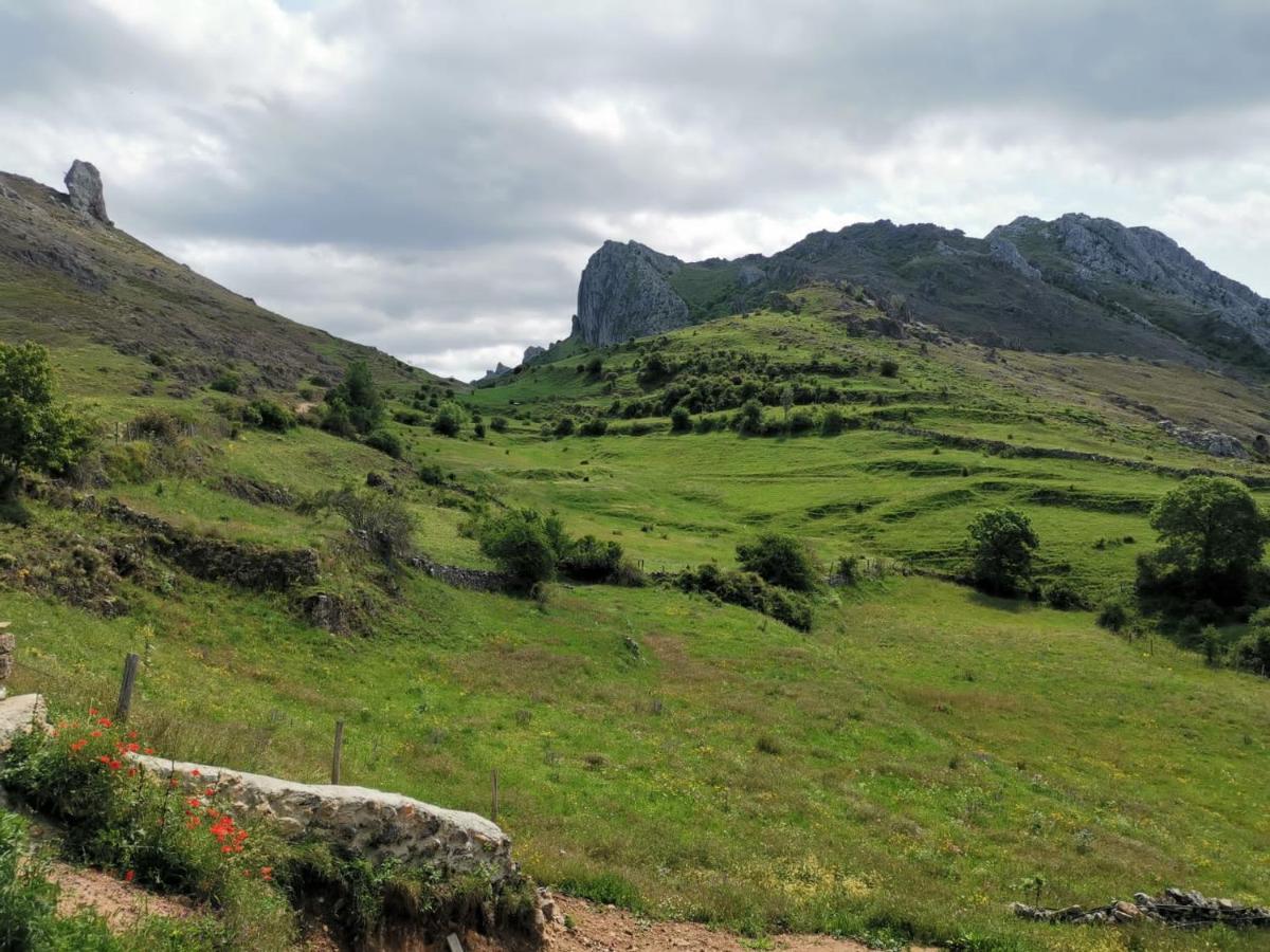 Willa Vivienda Turistica Cueto Larama Vut-Le-860 Villafeliz Zewnętrze zdjęcie
